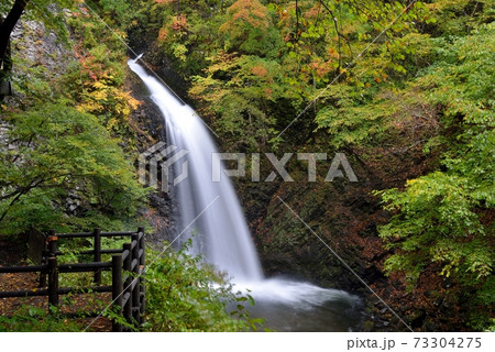 群馬県中之条町白砂渓谷、紅葉始めの大仙(おおぜん)の滝、全容を撮る 群馬県中之条町白砂渓谷、紅葉始めの大仙(おおぜん)の滝、全容を撮る 73304275