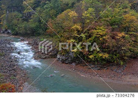 群馬県中之条町白砂渓谷の白波立つ流れ、透ける清流、紅葉始めの木々を撮る 群馬県中之条町白砂渓谷の白波立つ流れ、透ける清流、紅葉始めの木々を撮る 73304276