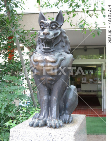 川崎市川崎区にある稲毛神社の狛犬 川崎市川崎区にある稲毛神社の狛犬 73305254