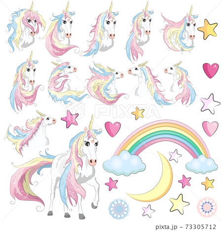 The cute magic Unicorn and fairy elements collection. Isolated 73305712