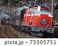 DD51 842  DLぐんまよこかわ（2021/1/2） 73305751