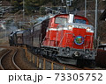 DD51 842  DLぐんまよこかわ（2021/1/2） 73305752