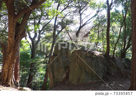 パワースポットで有名な天白磐座遺跡　渭伊神社 73305857