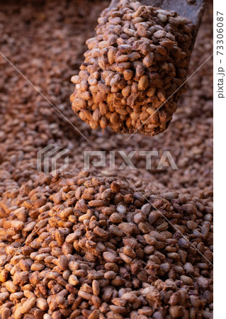 Fresh cocoa beans and fresh cocoa seeds are fermented in a wooden tank to develop the chocolate flavor. 73306087