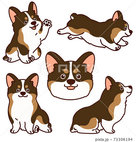 シンプルでかわいいコーギーのイラストセット セーブルカラー 主線あり シンプルでかわいいコーギーのイラストセット セーブルカラー 主線あり 73306194