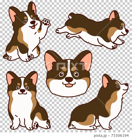 シンプルでかわいいコーギーのイラストセット セーブルカラー 主線あり シンプルでかわいいコーギーのイラストセット セーブルカラー 主線あり 73306194