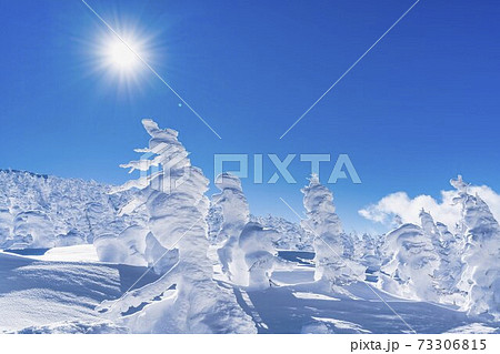 山形蔵王の樹氷と青空 山形県山形市 山形蔵王の樹氷と青空 山形県山形市 73306815