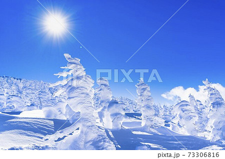 山形蔵王の樹氷と青空　山形県山形市 73306816