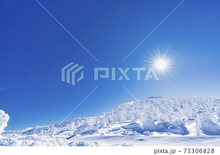 山形蔵王の樹氷と青空 山形県山形市 山形蔵王の樹氷と青空 山形県山形市 73306828