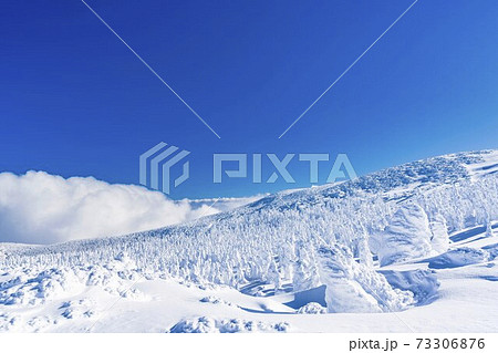 山形蔵王の樹氷と青空　山形県山形市 73306876