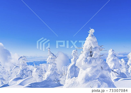山形蔵王の樹氷と青空 山形県山形市 山形蔵王の樹氷と青空 山形県山形市 73307084