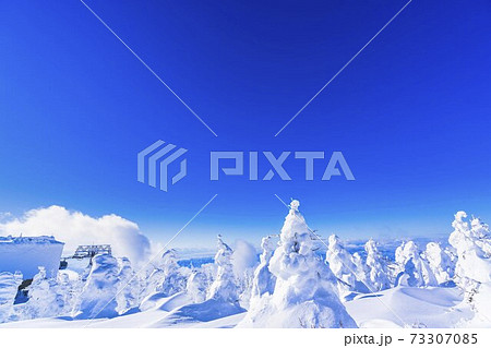 山形蔵王の樹氷と青空 山形県山形市 山形蔵王の樹氷と青空 山形県山形市 73307085