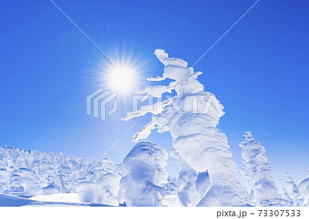 山形蔵王の樹氷と青空 山形県山形市 山形蔵王の樹氷と青空 山形県山形市 73307533