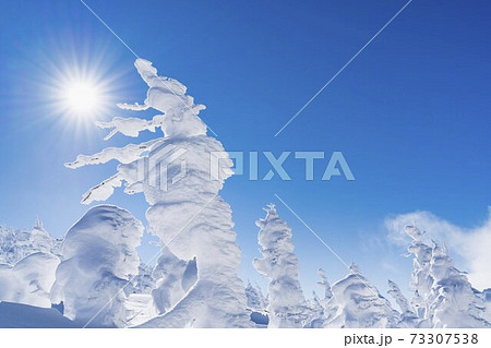 山形蔵王の樹氷と青空　山形県山形市 73307538