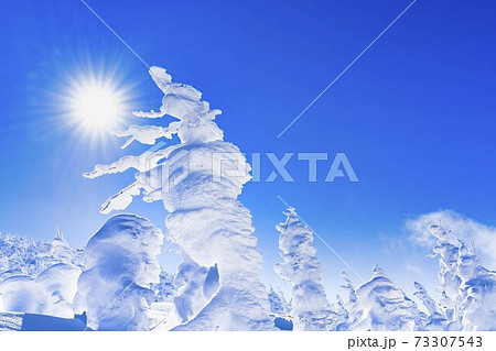 山形蔵王の樹氷と青空　山形県山形市 73307543