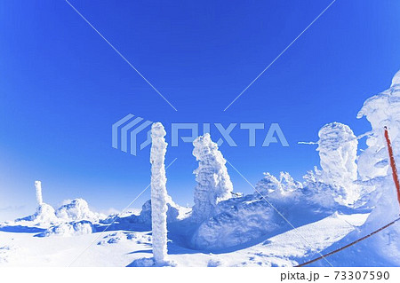 山形蔵王の樹氷と青空 山形県山形市 山形蔵王の樹氷と青空 山形県山形市 73307590