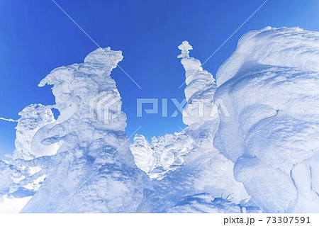 山形蔵王の樹氷と青空　山形県山形市 73307591