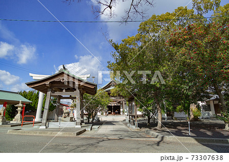 2021年1月撮影　津嶋神社 73307638