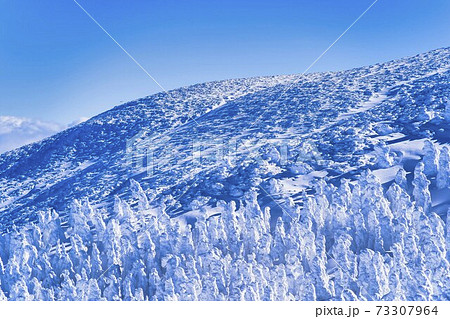 山形蔵王の樹氷と青空 山形県山形市の写真素材