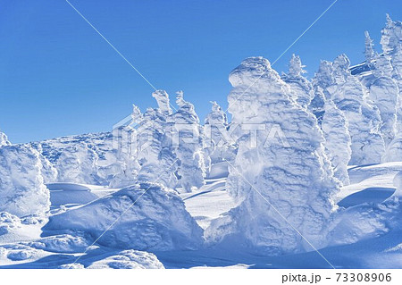 山形蔵王の樹氷と青空　山形県山形市 73308906