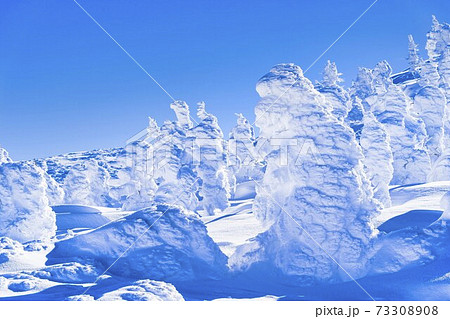 山形蔵王の樹氷と青空 山形県山形市 山形蔵王の樹氷と青空 山形県山形市 73308908