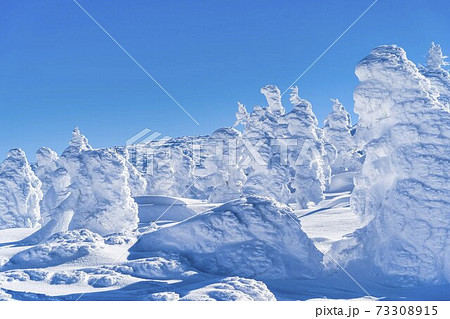 山形蔵王の樹氷と青空　山形県山形市 73308915