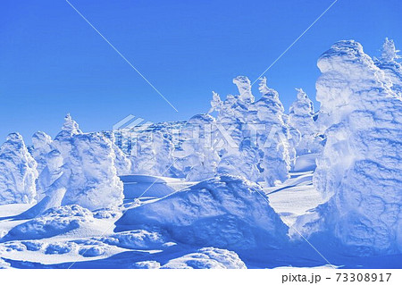山形蔵王の樹氷と青空　山形県山形市 73308917