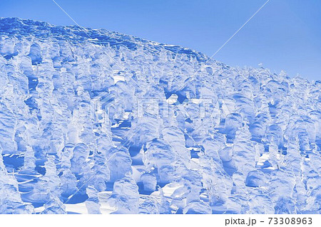 山形蔵王の樹氷と青空　山形県山形市 73308963