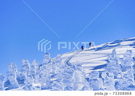 山形蔵王の樹氷と青空 山形県山形市 山形蔵王の樹氷と青空 山形県山形市 73308968