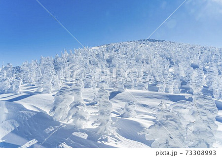 山形蔵王の樹氷と青空　山形県山形市 73308993