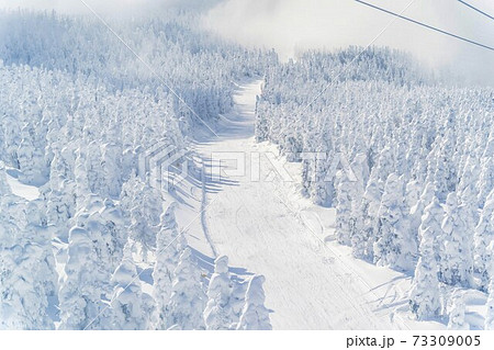 山形蔵王の樹氷と青空　山形県山形市 73309005