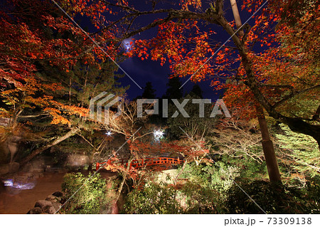 宮島、ライトアップの紅葉谷公園 73309138