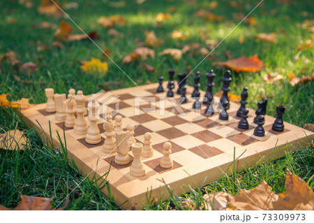 Wooden chessboard and pieces on a grassy ground covered with dry leaves 73309973