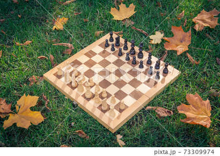 Wooden chessboard and pieces on a grassy ground covered with dry leaves Wooden chessboard and pieces on a grassy ground covered with dry leaves 73309974