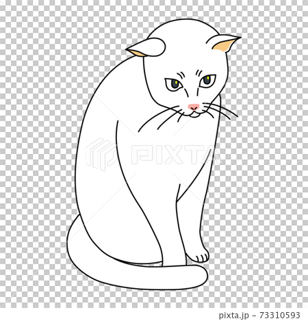 White cat sitting still 73310593