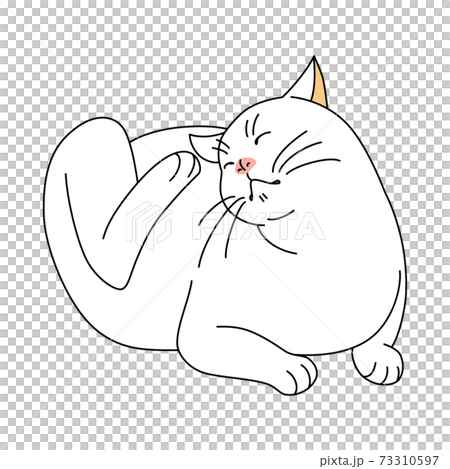 White cat scratching his head 73310597