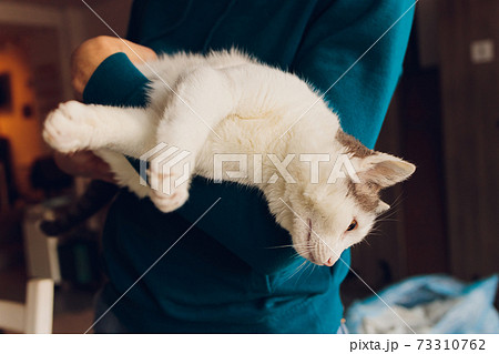 young man holding a white cat close-up. 73310762