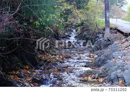 秋の小さな川 73311202