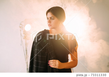 successful woman lifestyle female independence successful woman lifestyle female independence 73311330