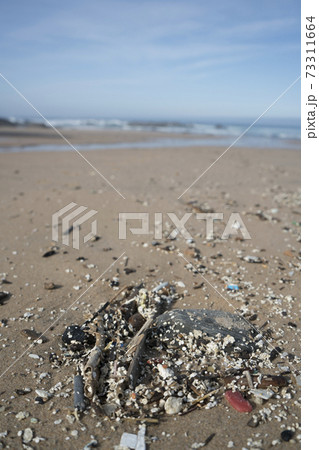 Plastic waste and micro plastic washed on the shore of the atlantic ocean Plastic waste and micro plastic washed on the shore of the atlantic ocean 73311664