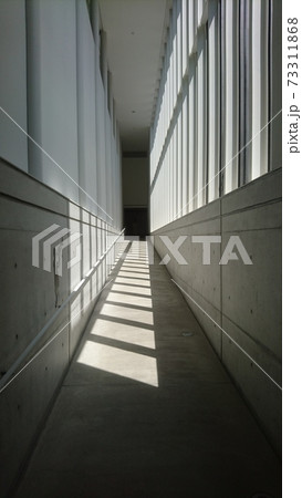 光と影の廊下 73311868