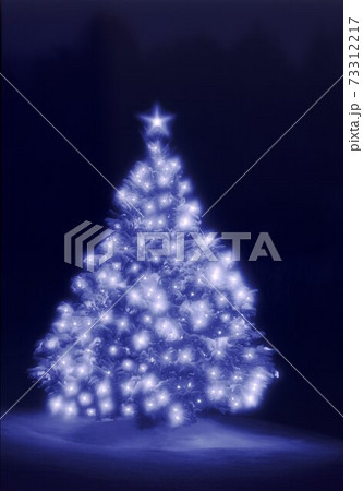 Christmas tree with lights in winter Christmas tree with lights in winter 73312217