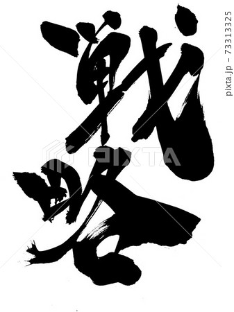 戦略 ・・・文字 戦略 ・・・文字 73313325