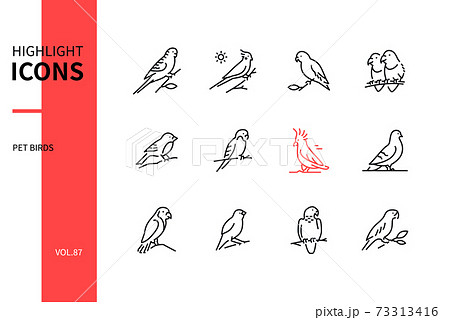Pet birds - modern line design style icons set 73313416