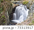 河津七滝の渓谷と小さな滝 73313917