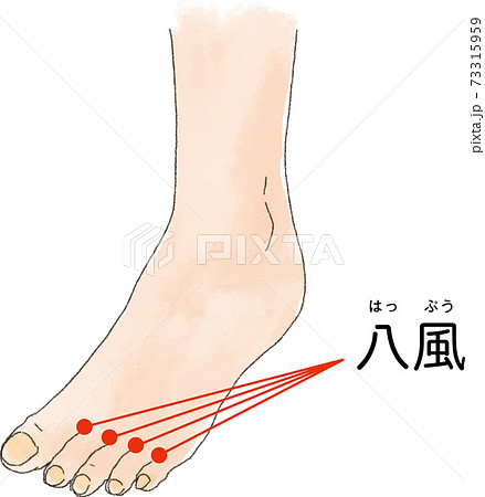 ツボ・経穴「八風」の手描き風イラスト ツボ・経穴「八風」の手描き風イラスト 73315959