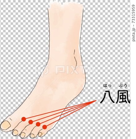ツボ・経穴「八風」の手描き風イラスト ツボ・経穴「八風」の手描き風イラスト 73315959