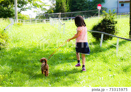 犬と公園を散歩する女の子 1の写真素材