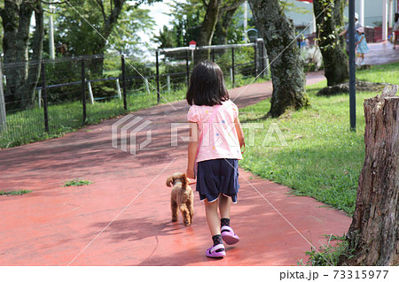 犬と公園を散歩する女の子 2の写真素材