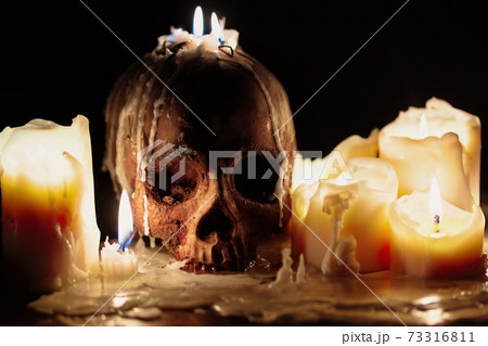 Human skull against dark background in candle light closeup Human skull against dark background in candle light closeup 73316811